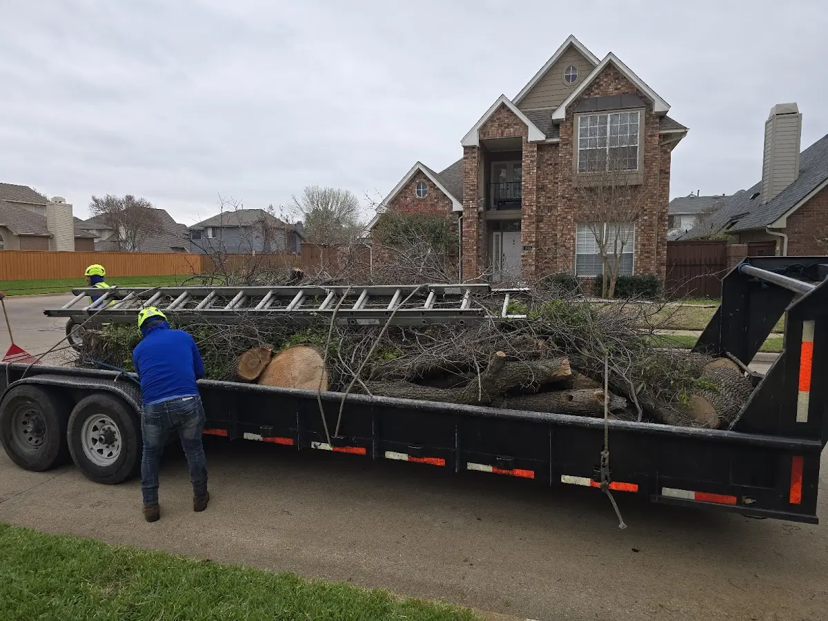 Expert Lot Clearing with proper safety equipment in Mount Prospect